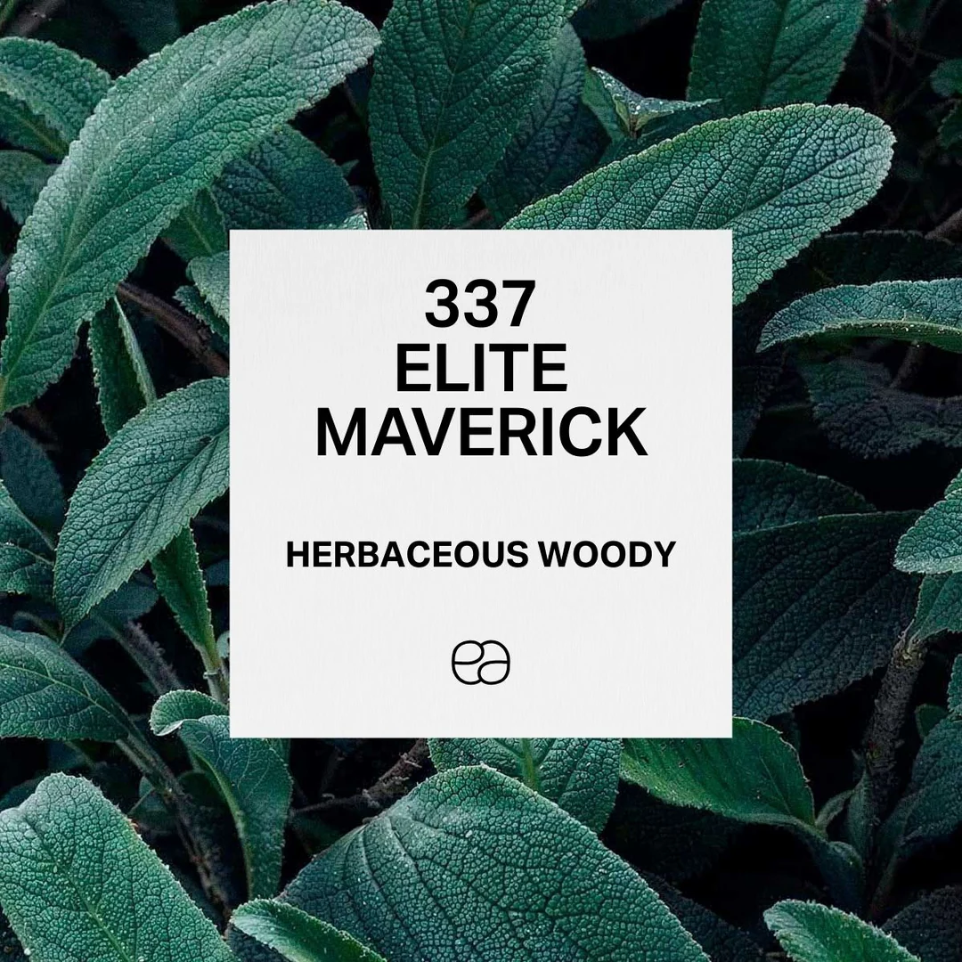 Парфюм 337 Elite Maverick